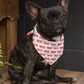 URLVD "RED LABEL" BANDANA