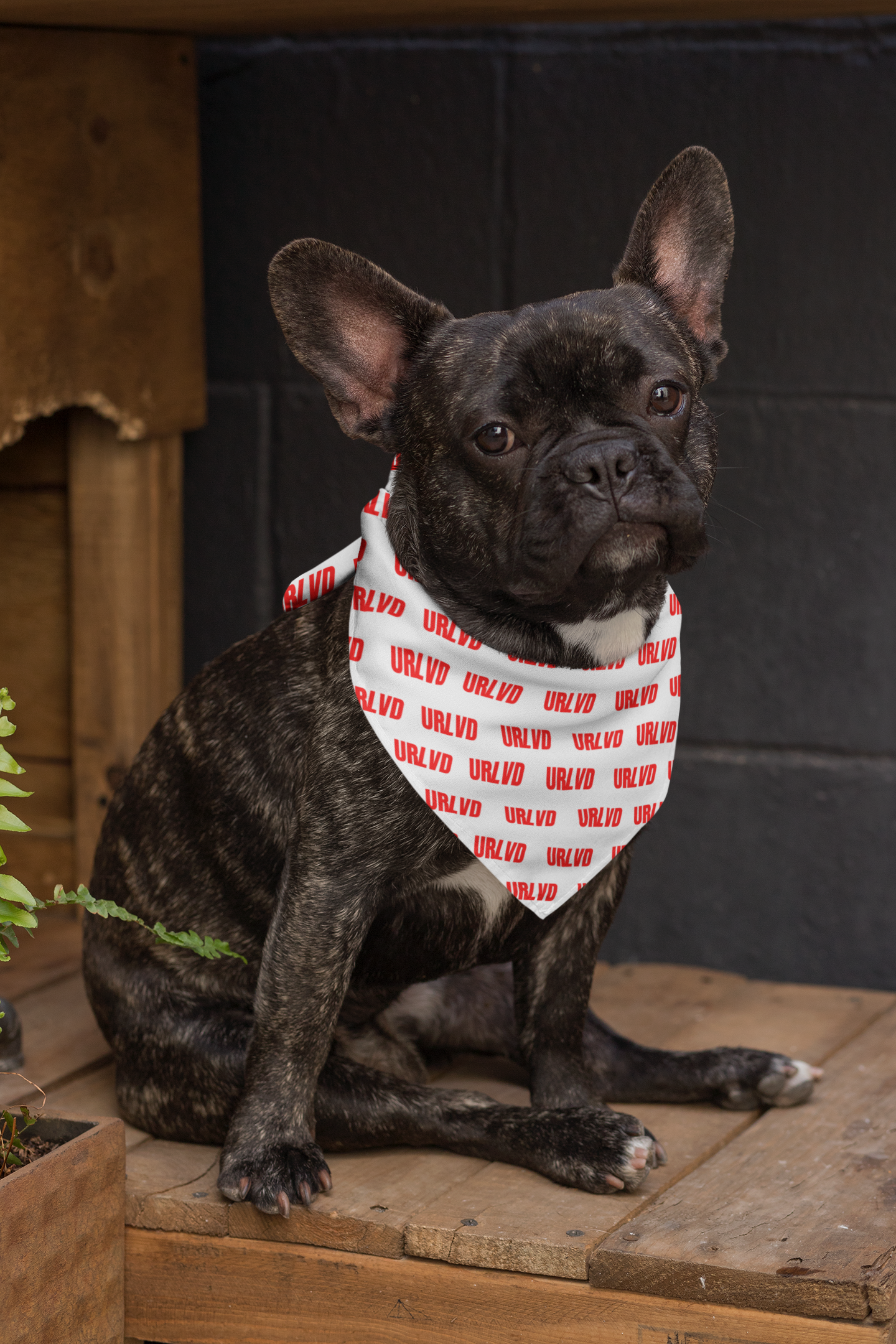 URLVD "RED LABEL" BANDANA