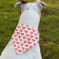 URLVD "RED HEART" BANDANA