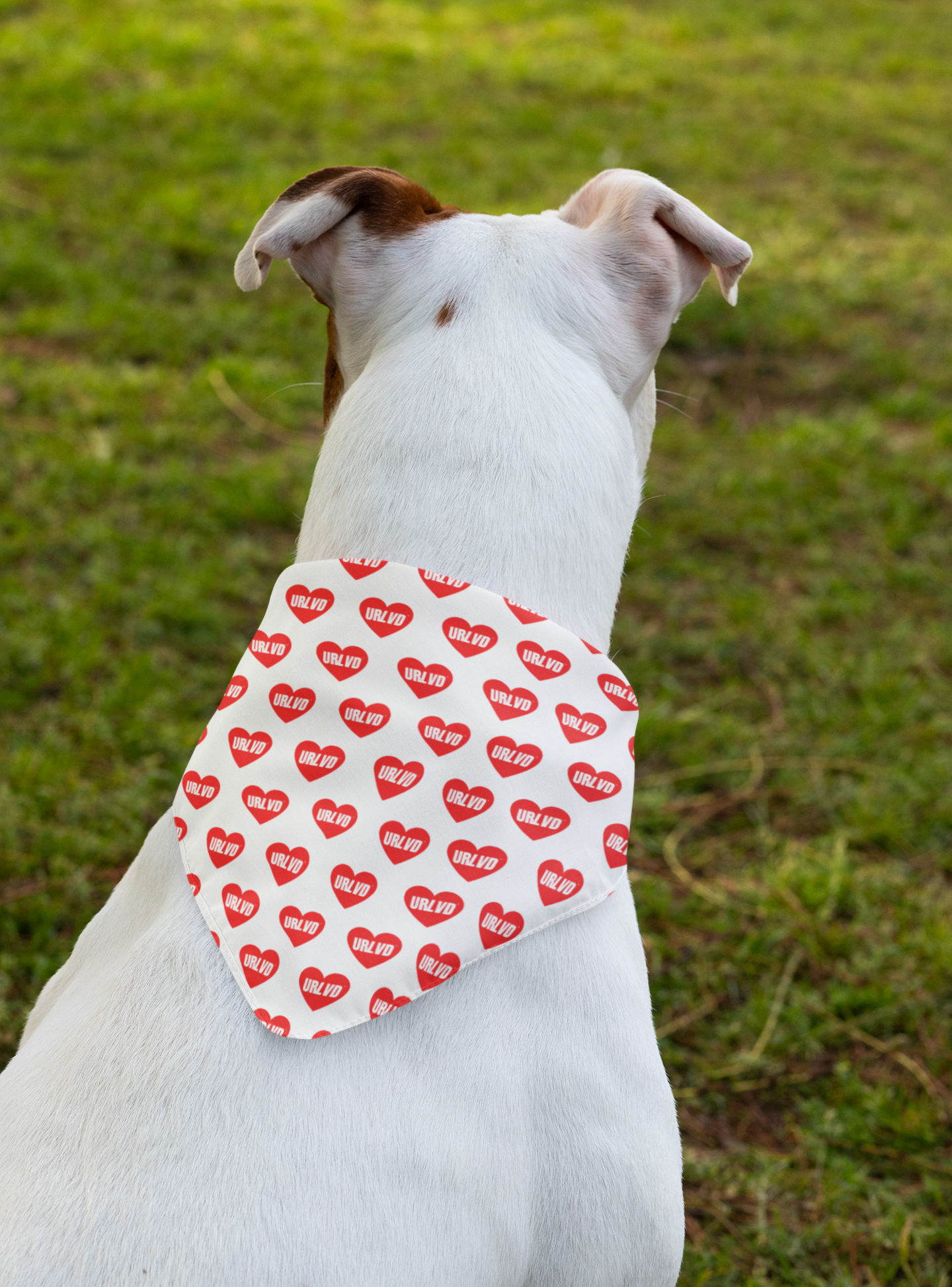 URLVD "RED HEART" BANDANA