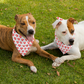 URLVD "RED HEART" BANDANA