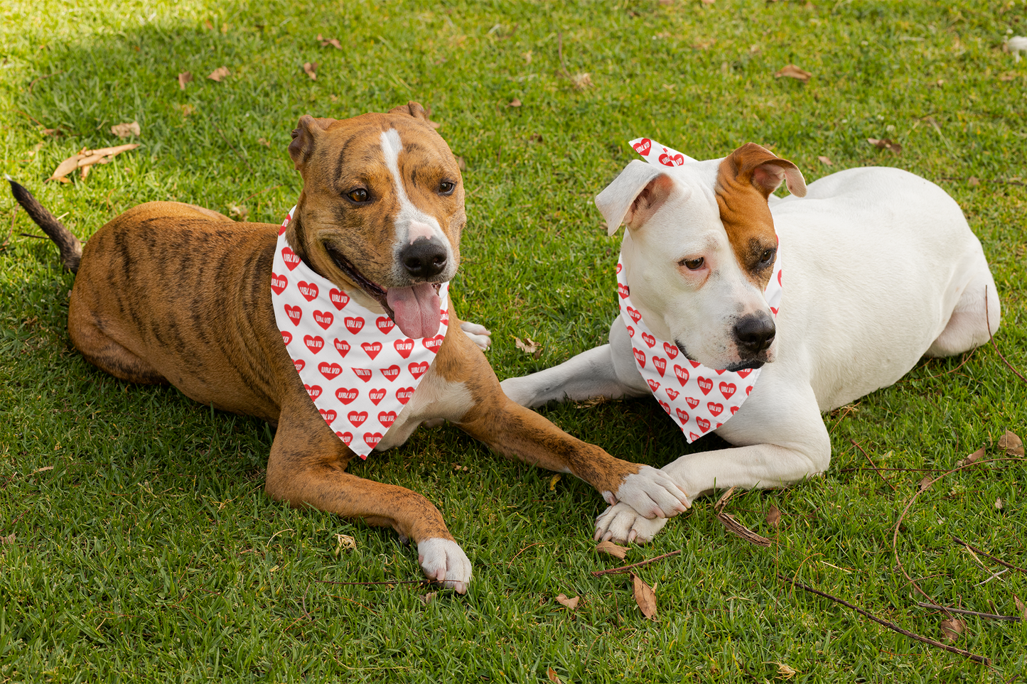 URLVD "RED HEART" BANDANA