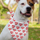 URLVD "RED HEART" BANDANA